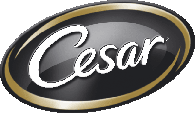 Cesar