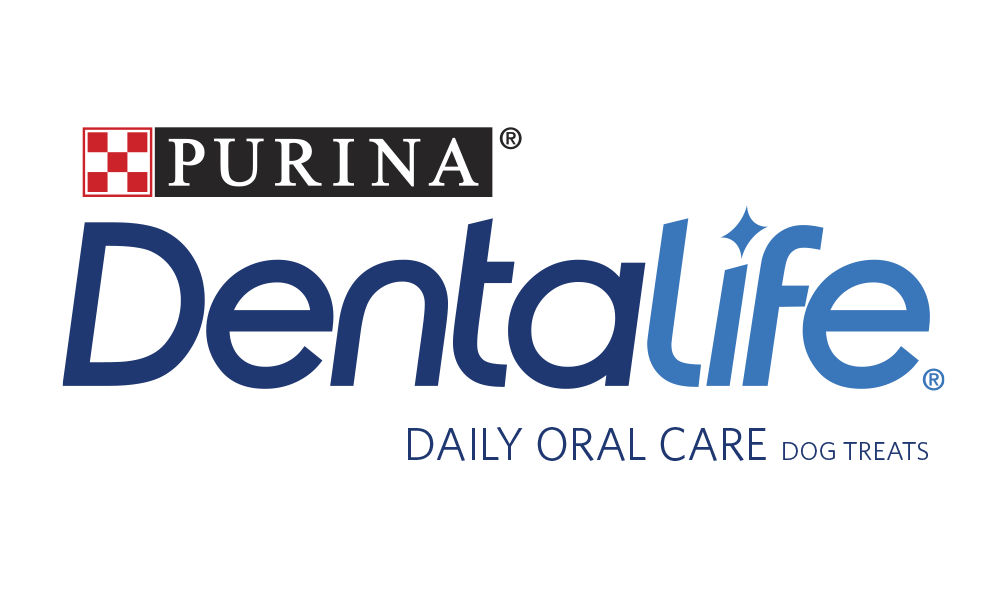 Dentalife